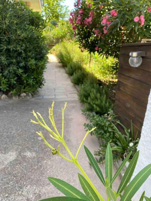 Une Pause Au Paradis Sorgues Extérieur photo
